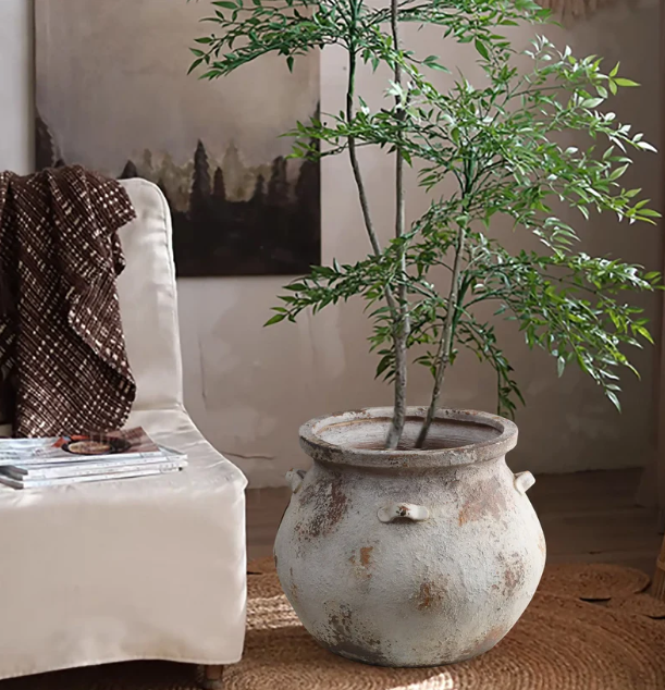 Bringing the Outdoors In: 5 Nordic Principles for Indoor Greenery