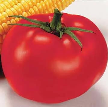 Park Seed Variety of Tomato Vegetable Seeds, Plant Seeds, Easy to Grow, Perfect for Harvesting, Better Boy Hybrid, Pack of 1000