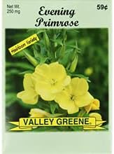 Set of Flower Seed Packets! Flower Seeds in Bulk - Great for Creating The Garden of Your Dreams! (50, Evening Primrose)
