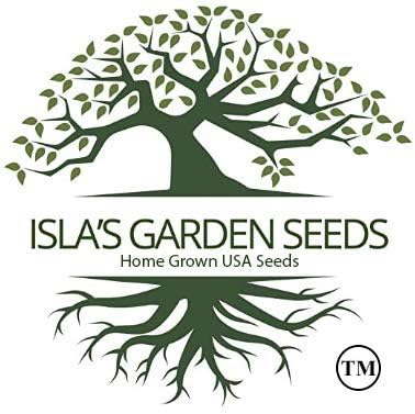 Common Chives Seeds for Planting, 1000+ Heirloom Seeds Per Packet, (Isla's Garden Seeds), Non GMO Seeds, Botanical Name: Allium tuberosum, Great Herb Garden Gift