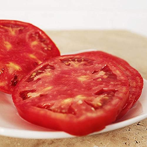 Park Seed Variety of Tomato Vegetable Seeds, Plant Seeds, Easy to Grow, Perfect for Harvesting, Big Yummy Hybrid, Pack of 25
