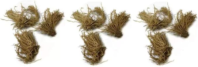 Ultimate Hosta Garden Collection 6-Pack of Bare Roots Hardy Mixed Heart-Shaped Hosta - Rich Green Foliage, Low Maintenance, Heart Shaped Leaves Great Perennials - 1000'S Sold