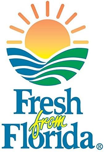 PERFECT PLANTS Drift Rose Live Plant, 1 Gallon, Coral Colored Petals and Green Stem