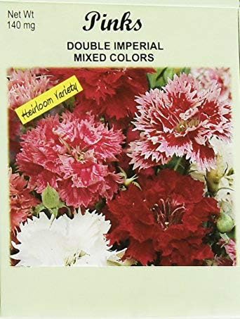 Set of 100 Flower Seed Packets! Flower Seeds in Bulk (100, Double Imperial Pinks)