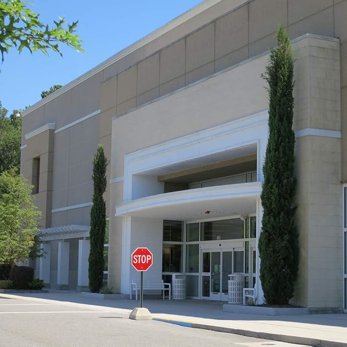 PERFECT PLANTS Italian Cypress Live Plant, 2-3', Includes Care Guide