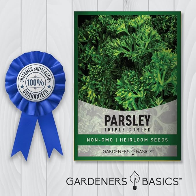 Gardeners Basics, Curled Parsley Seeds for Planting Indoors and Outdoors Heirloom, Open-Pollinated, Non-GMO Curly Herb Variety- Great for Home Gardens and More