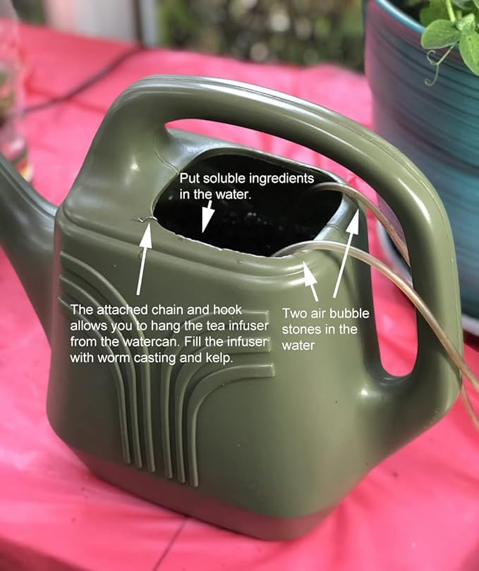 2025 EarlyBird-Organic Asian Pepper Seeds for Planting Vegetables and Fruits for 虎皮尖椒,Non-GMO Heirloom Seeds Chile Pepper Seeds for Home Vegetable Garden Hydronic Pods-30ct Vege Seeds:Shishito Pepper