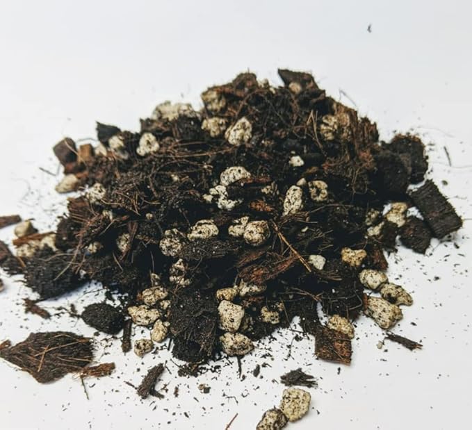 Tank's-Pro Cactus & Succulent Mix 16 qt Bag