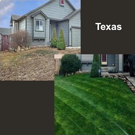 ExiGrow Alkaline Soil Treatment - Soil Loosener - Soil Conditioner - Soil Softener - Liquid Aeration - Any Grass Type - Repair Compact Soil, Standing Water, Poor Drainage - 32oz