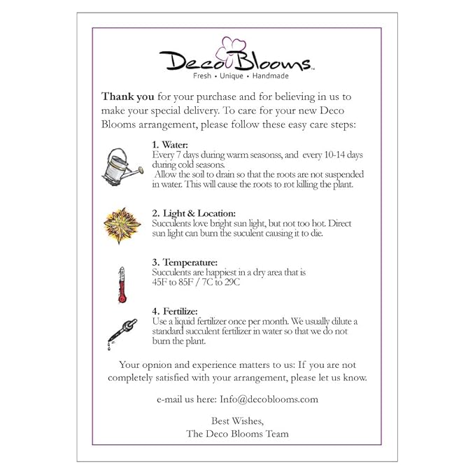 DecoBlooms Unique Succulent Plants (Collection of 16) - Fully Rooted in Planter Pots with Soil - Real Live Potted DIY Assorted Succulents