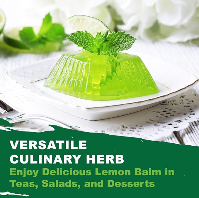 TKE Farms & Gardens - Lemon Balm Seeds for Planting, 250Mg, 300+ Heirloom, Non-GMO Seeds, Instructions Included to Grow This Fragrant Medicinal Herb, Melissa officinalis, Qty 1