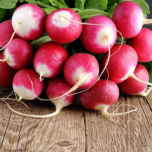 Park Seed Radish Vegatable Plant Seeds, Easy to Grow, Variety of Colors, Spring Garden, Organic Sparkler, Pack of 100