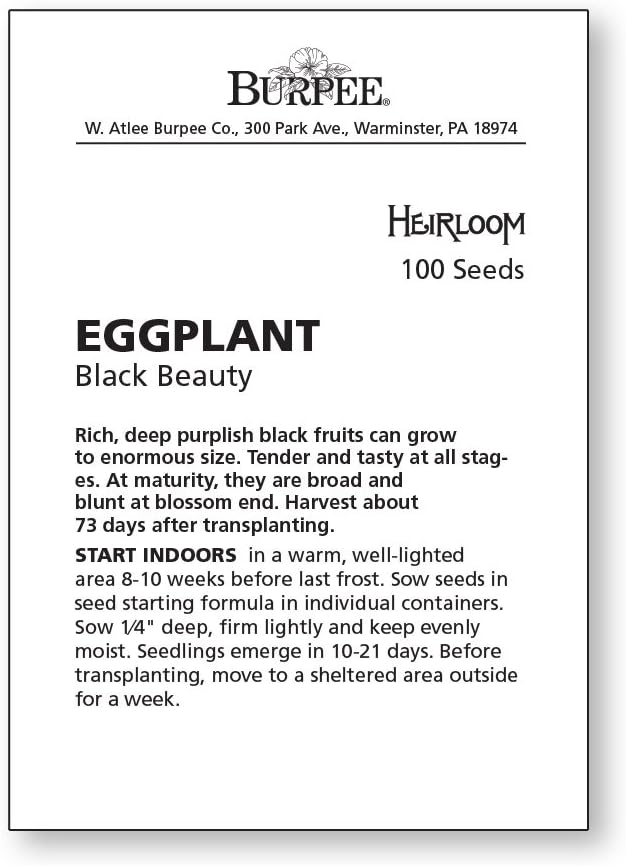 Burpee Black Beauty Eggplant Seeds 100 seeds