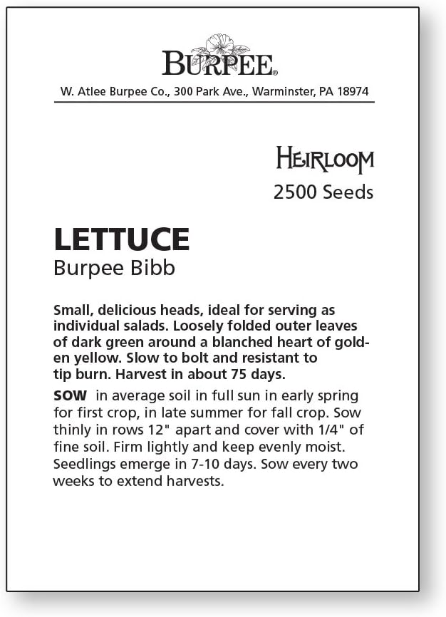 Burpee Burpee Bibb Lettuce Seeds 2500 seeds