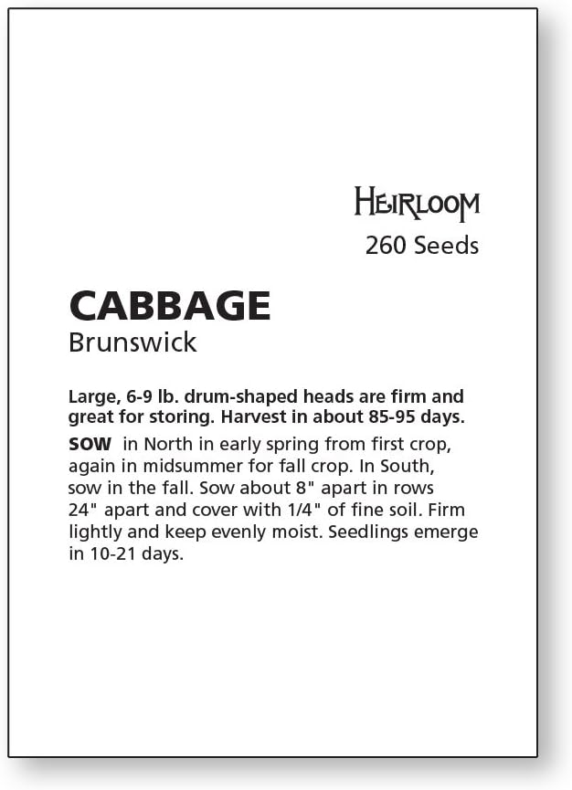 Burpee Brunswick Cabbage Seeds 260 seeds