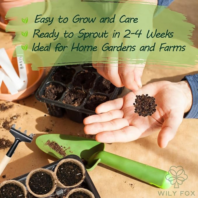 Premium Rare Hollyhock Seeds โ 100+ Double Pink Hollyhock Flower Seeds โ Non-GMO, Heirloom Perennial โ Showy Blooms for Outdoor Planting (Double Pink Hollyhock)