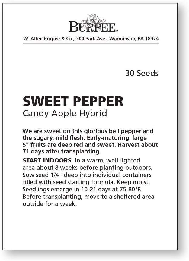 Burpee 'Sweet Candy Apple' Hybrid | Bell Pepper