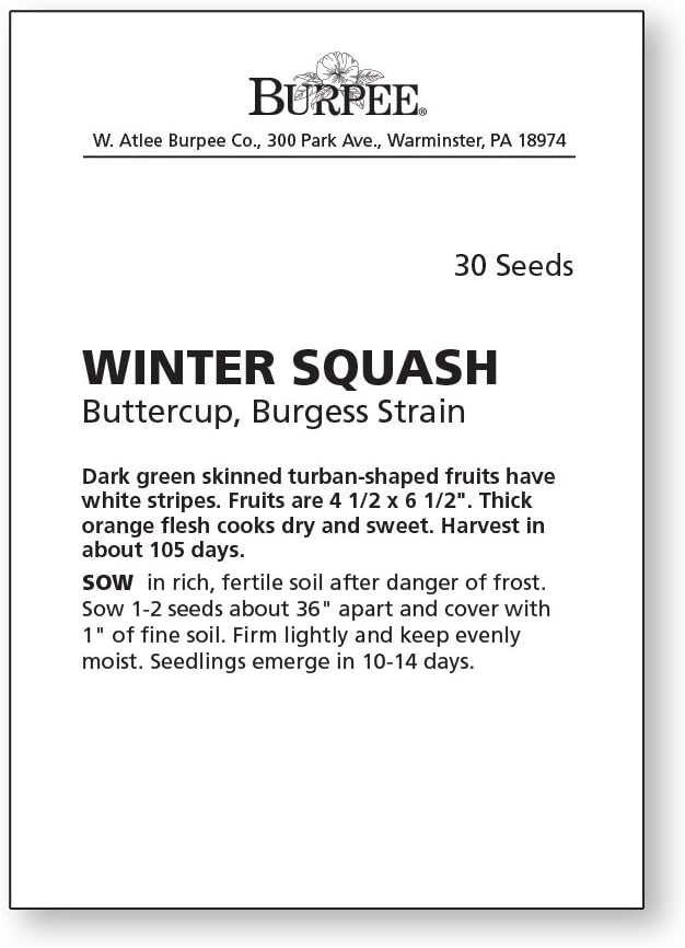 Burpee Buttercup Burgess Strain Winter Squash Seeds 30 seeds