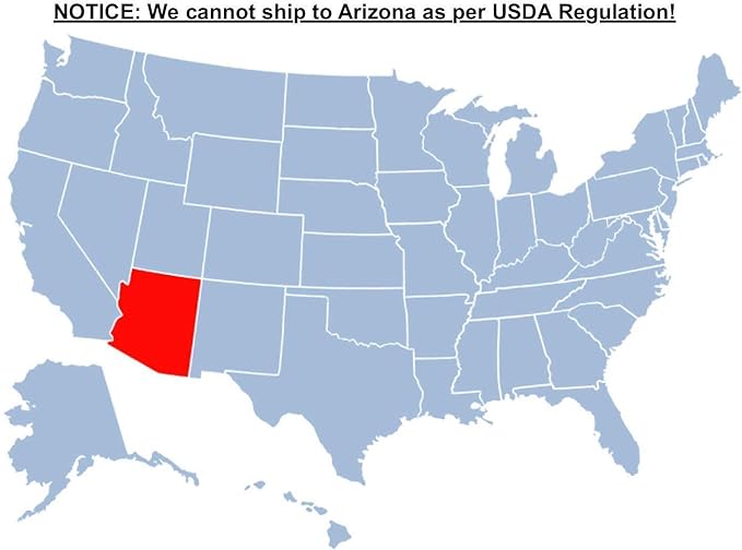 Brighter Blooms - Thuja Green Giant, 3-4 Feet - Live Plant - No Shipping to AK, AZ, HI, OR