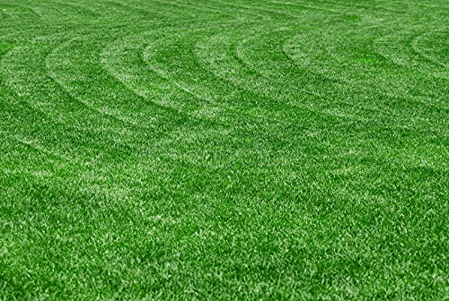 Potassium Polyacrylate Super Absorbent Polymer 45 Pounds