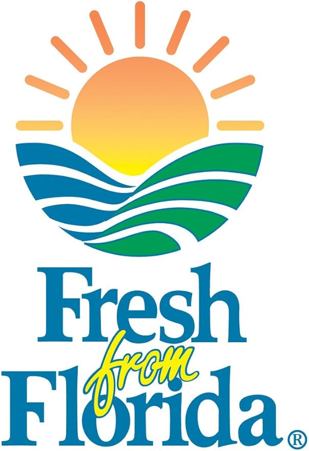 PERFECT PLANTS Powder Blue Blueberry Live Plant, 1 Gallon, Green