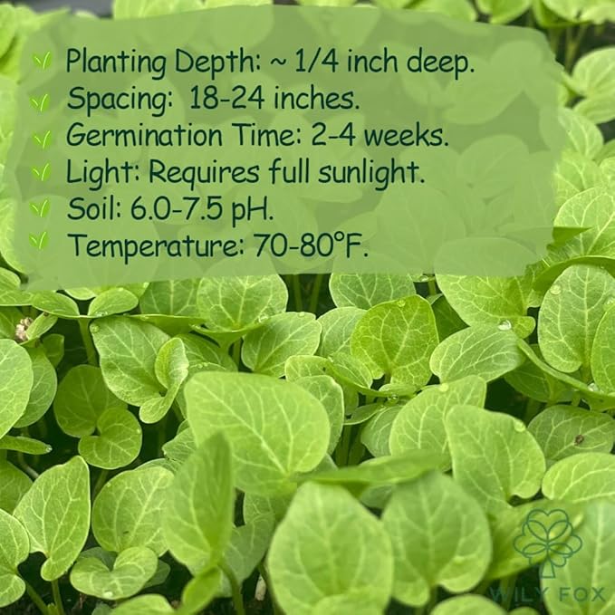 Premium Rare Hollyhock Seeds โ 100+ Double Pink Hollyhock Flower Seeds โ Non-GMO, Heirloom Perennial โ Showy Blooms for Outdoor Planting (Double Pink Hollyhock)