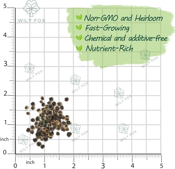 Premium Rare Hollyhock Seeds – 100+ Double Red Hollyhock Flower Seeds – Non-GMO, Heirloom Perennial – Showy Blooms for Outdoor Planting (Dwarf Double Red Hollyhock)