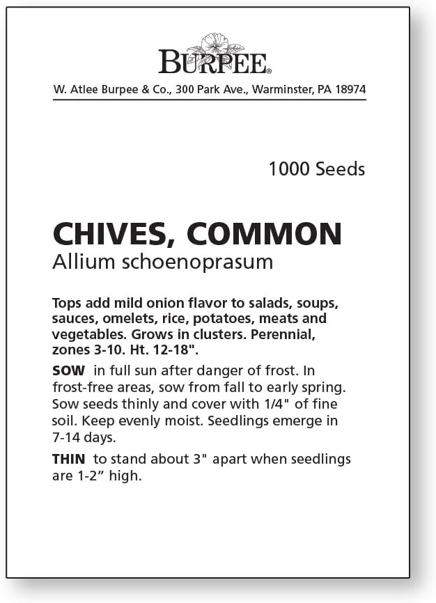 Burpee Common Chives Seeds 1000 seeds