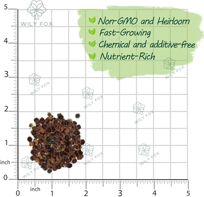 Premium Rare Hollyhock Seeds โ 100+ Double Pink Hollyhock Flower Seeds โ Non-GMO, Heirloom Perennial โ Showy Blooms for Outdoor Planting (Double Pink Hollyhock)