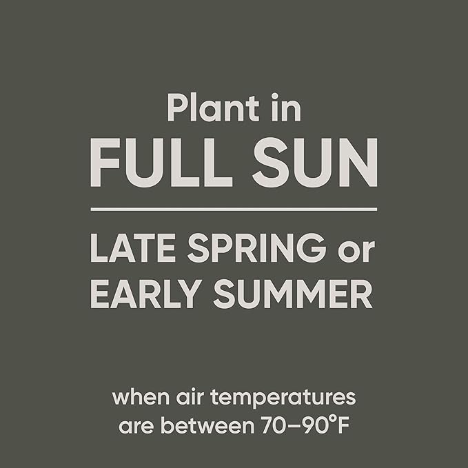 Scotts Pursue Blue Grama with Natural Seed, Seeding for Large Areas, 1 lb.