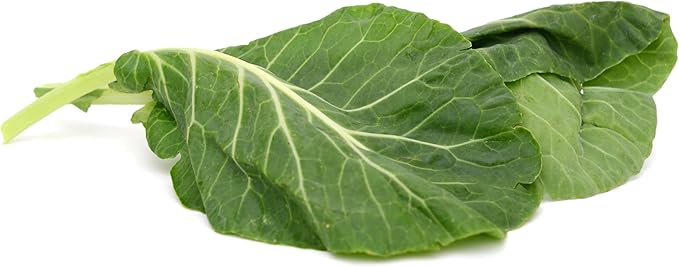 1000+ Georgia Southern Collard Greens Seeds for Planting - Heirloom, Non-GMO, USA Grown