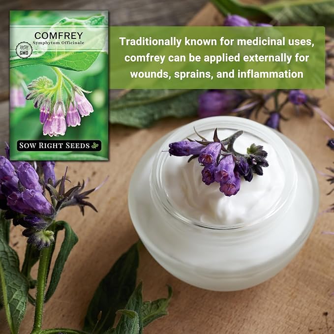 Sow Right Seeds - Comfrey Seeds for Planting - Non-GMO Heirloom Packet with Instructions to Plant an Outdoor or Indoor Herb Garden - Roots & Leaves for Home Remedies - Medicinal Salve, Oil, Tea (1)