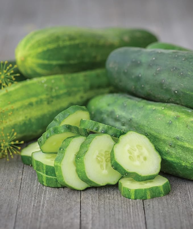 Burpee 'Straight Eight' Slicing Cucumber Seeds, 200 Non-GMO seeds, Heirloom