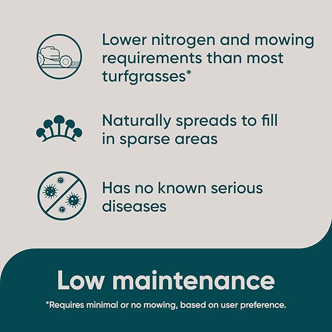 Scotts Pursue Dichondra with Natural Seed, Seeding for Decorative Areas, 1.5 lbs.