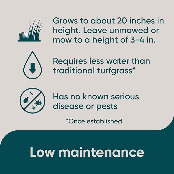 Scotts Pursue Blue Grama with Natural Seed, Seeding for Large Areas, 1 lb.