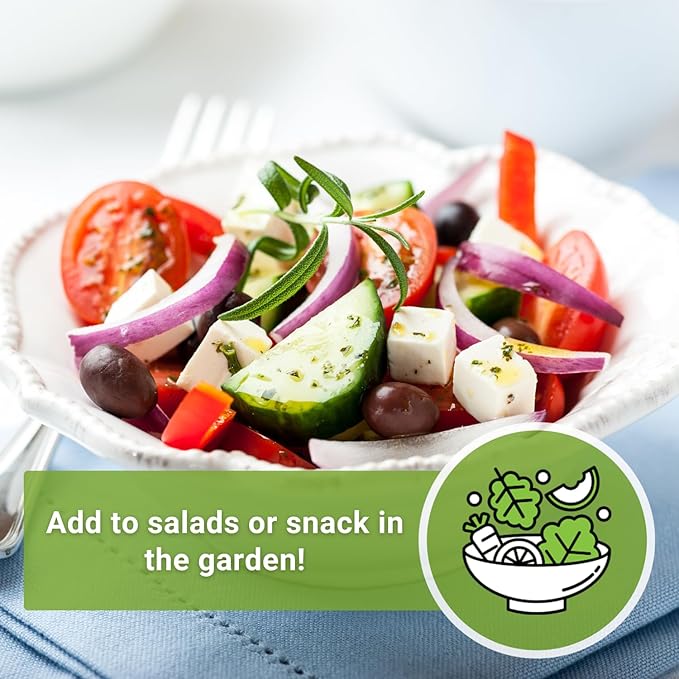 Sow Right Seeds - Rio Grande Tomato Seeds for Planting - Non-GMO Heirloom Packet with Instructions to Plant a Home Vegetable Garden - Red Cherry Variety for Snacking - Super Vigorous (1)