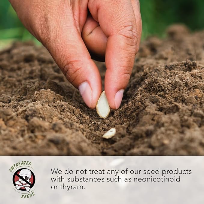 Seed Needs, Sunflower Seed Packet Variety Collection (3 Individual Varieties for Planting) Red Sun, Velvet Queen & Lemon Queen