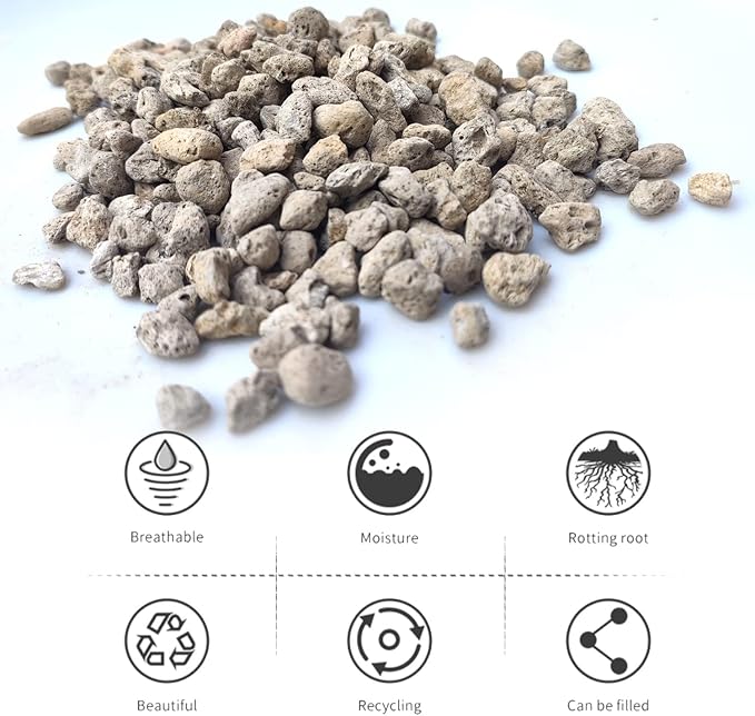 Organic Pumice for Bonsai and Horticultural 100% Natural- (5 gallons, 1/4 inch)
