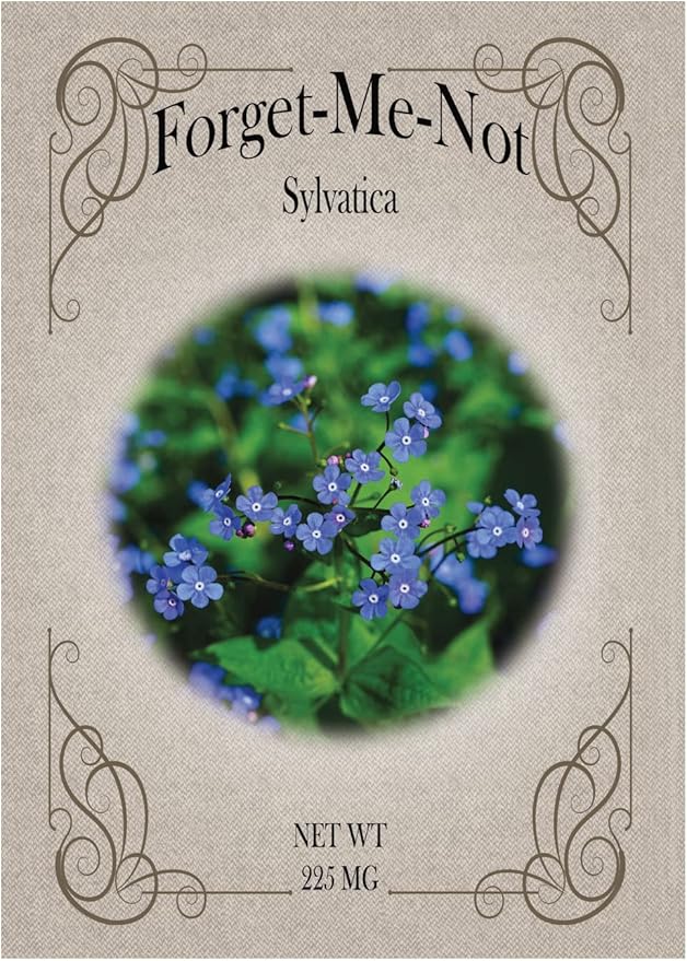 Black Duck Brand Set of 25 Packs of Forget-Me-Not Flower Seed Packets! Flower Seeds in Bulk - Great for Creating The Garden of Your Dreams! (25, Forget-Me-Not Blue)