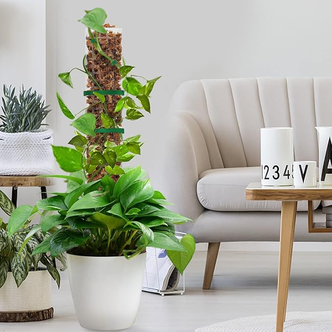 EOX 2 Pcs 24 Inch Plastic Moss Pole for Plants Monstera, Plant Poles for Climbing Plants, Plant Support for Indoor Plants Work with Sphagnum Moss, 45 Inch Moss Pole Set of 2, Garden Ties