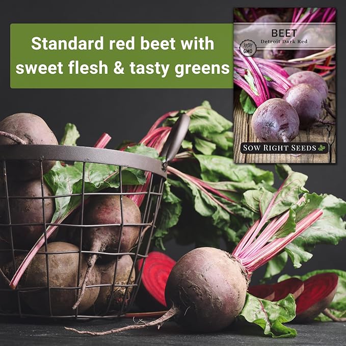 Sow Right Seeds - Detroit Dark Red Beet Seeds for Planting - Non-GMO Heirloom Packet with Instructions to Plant & Grow an Outdoor Home Vegetable Garden - Nutritious, Cold Hardy, and Productive (2)