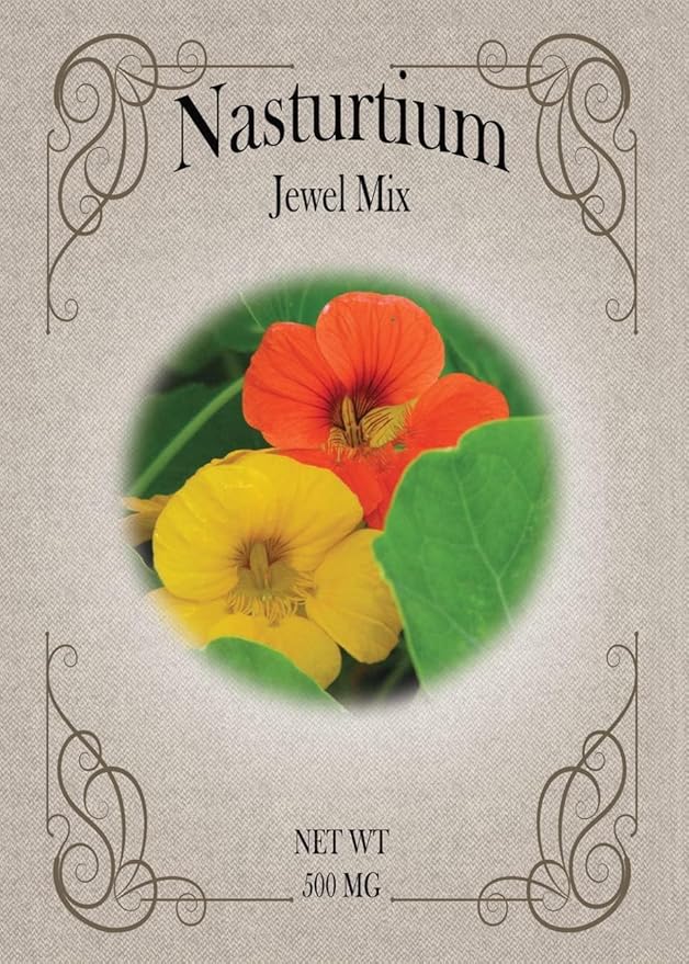 Set of Flower Seed Packets! Flower Seeds in Bulk - Great for Creating The Garden of Your Dreams! (100, Nasturtium)