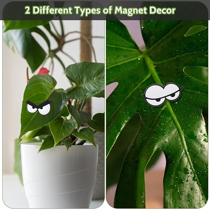 8Pcs Funny Plant Magnets Eyes Cute Soft Glue Plant Magnets Pin Charms Unique Magnetic Eyes Decoration Personality Plants Eye Accessories for Office Indoor Outdoor DIY Potted Plants Women Men Lover