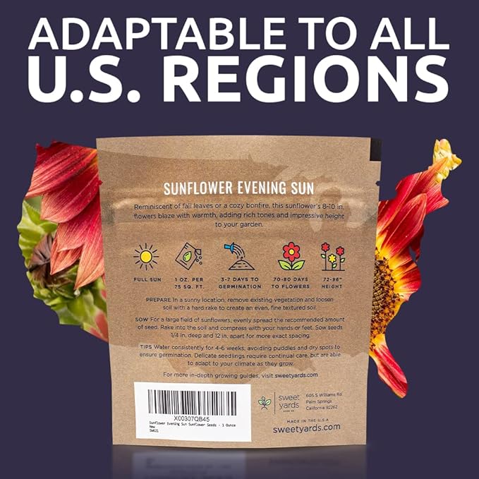 Evening Sun Sunflower Seeds - Extra Large 1 Ounce Packet - Over 1,200 Fresh Open Pollinated Non-GMO Flower Seeds - Helianthus annus - Large Glowing Blooms