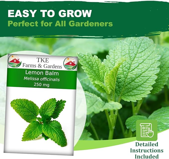 TKE Farms & Gardens - Lemon Balm Seeds for Planting, 250Mg, 300+ Heirloom, Non-GMO Seeds, Instructions Included to Grow This Fragrant Medicinal Herb, Melissa officinalis, Qty 1