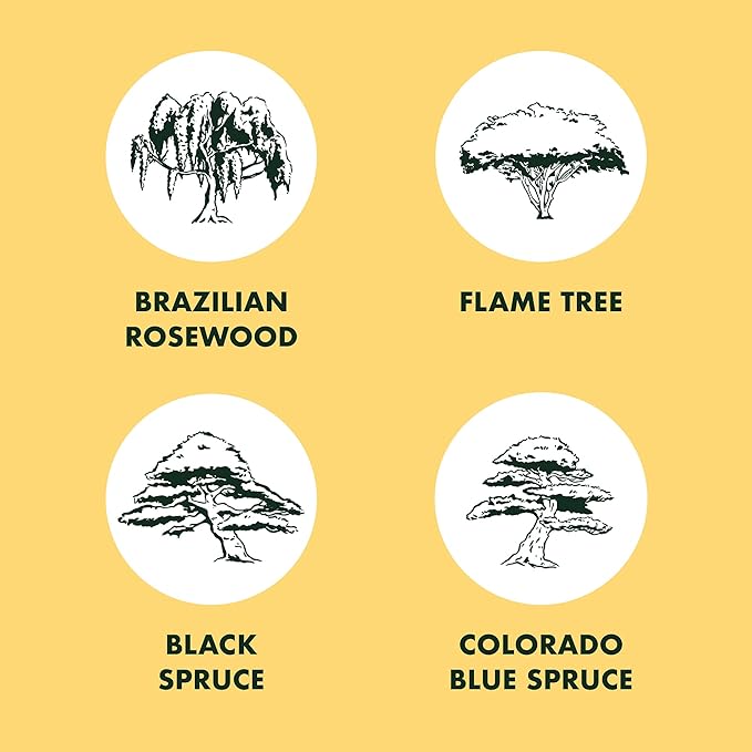 Bonsai Tree Seed Starter Kit - Mini Bonsai Plant Growing Kit, 4 Types of Seeds, Potting Soil, Jute Bags, Pruning Shears Scissor Tool, Plant Markers, Wood Gift Box, Day Gardening Gifts for Women