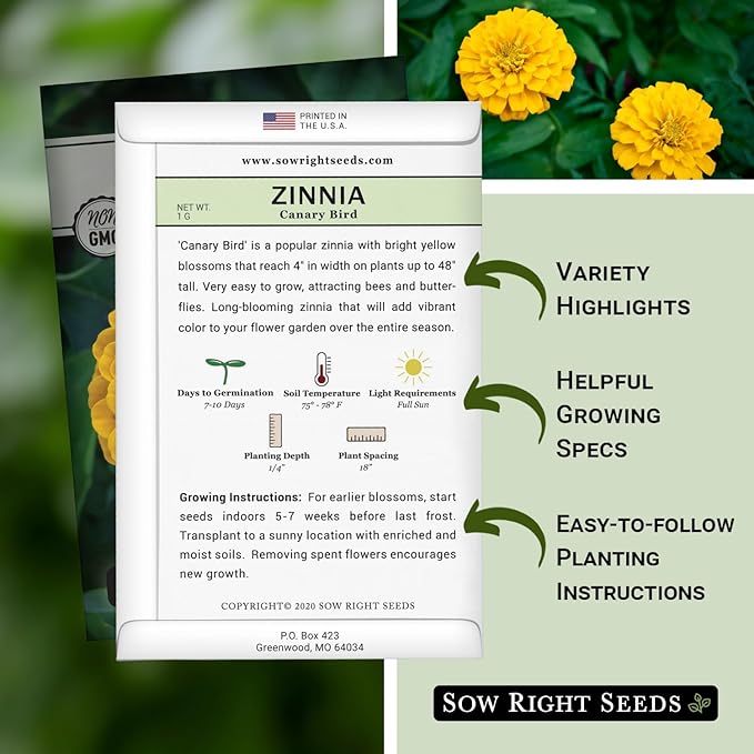 Sow Right Seeds - Canary Bird Zinnia Seeds for Planting - Non-GMO Heirloom Packet to Plant and Grow - Large Yellow Annual Blooms - Giant Cut & Come Back Flowers - Attract Bees and Butterflies (1)