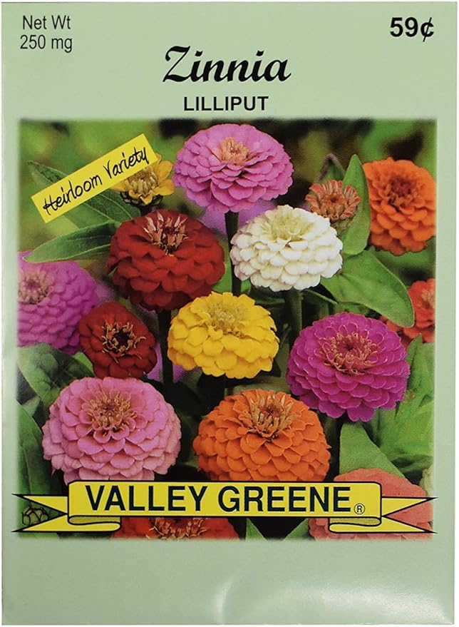 Set of Flower Seed Packets! Flower Seeds in Bulk - Great for Creating The Garden of Your Dreams! (200, Zinnia - Lilliput)