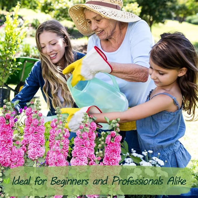 Premium Rare Hollyhock Seeds โ 100+ Double Pink Hollyhock Flower Seeds โ Non-GMO, Heirloom Perennial โ Showy Blooms for Outdoor Planting (Double Pink Hollyhock)