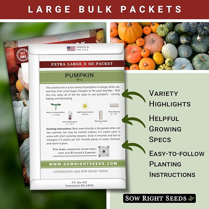 Sow Right Seeds - Bulk Mixed Pumpkin Seeds for Planting - 1 Ounce, 140 Seeds - Non-GMO Heirloom Jumbo Pack - Includes Small Sugar, Big Max, Casper, and More - Grow Loads of Colorful Mixed Pumpkins